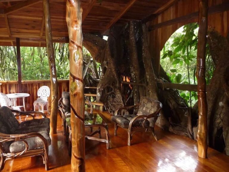 9 Best Costa Rica Treehouse Hotels 2023 - Top Treehouses